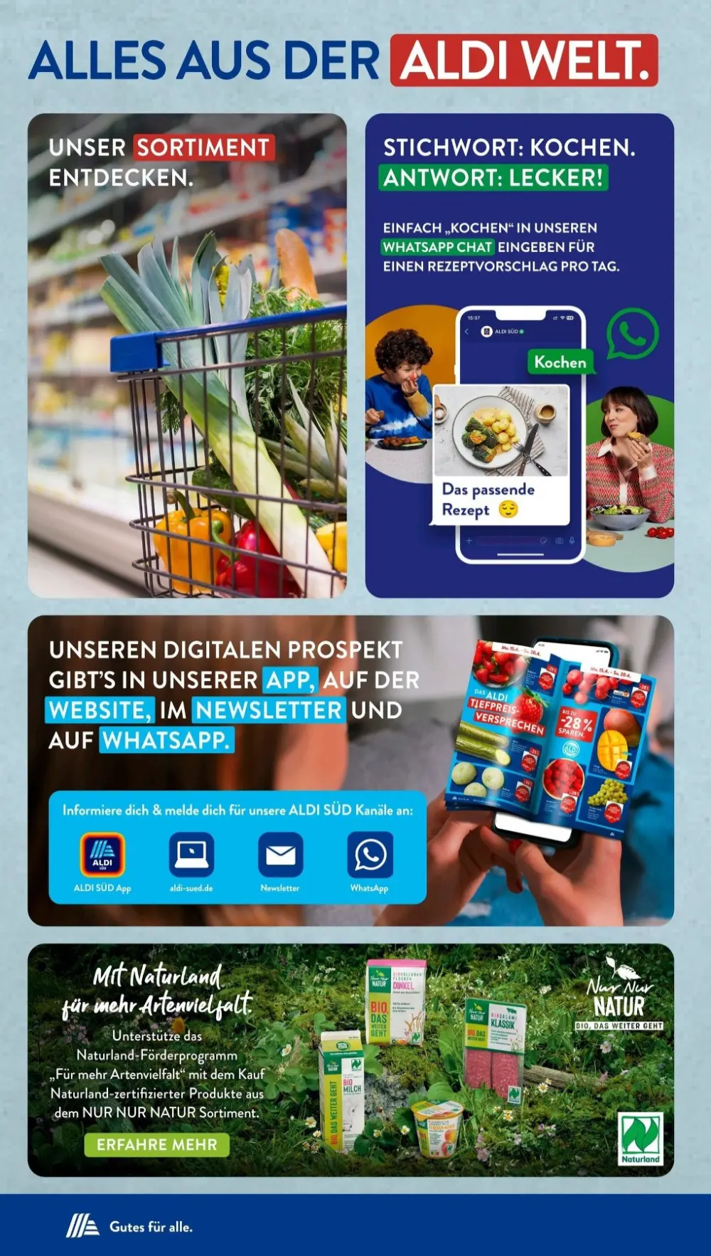 Aldi Süd November 2024 Wöchentliche Angebote, Rabatte, Ermäßigungen und digitale Gutscheine.