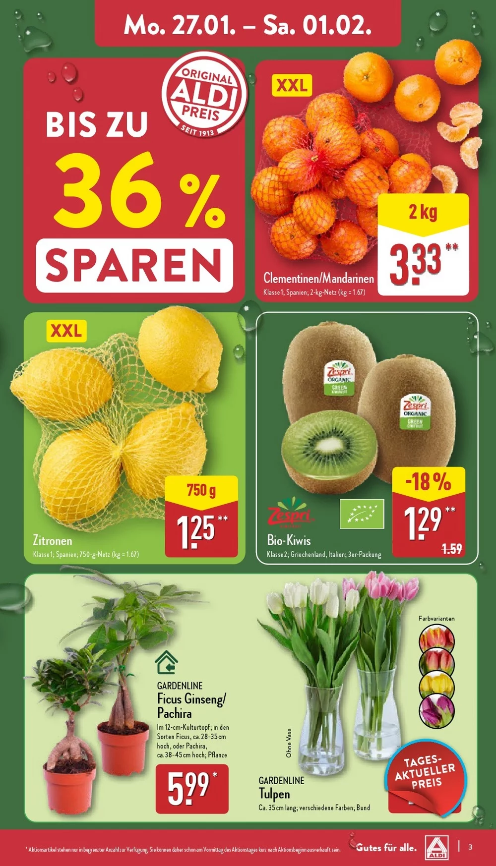 Aldi Nord Prospekt January 2025 Wöchentliche Angebote, Rabatte, Ermäßigungen und digitale Gutscheine.